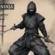 LWEDNinja: Your Complete Guide to Mastering the Platform