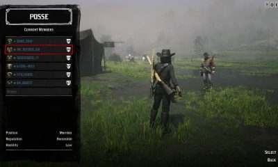 Red Dead Redemption 1: How to Check Rank Easily