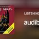 Exploring the Queen of Shadows Audiobook: A Thrilling Fantasy Adventure